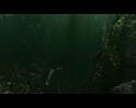 PDVD_2428