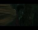 PDVD_2448