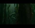 PDVD_2451