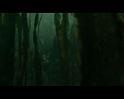 PDVD_2452