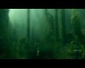 PDVD_2470