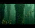 PDVD_2472