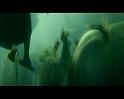 PDVD_2490