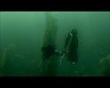 PDVD_2499