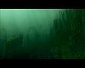 PDVD_2529