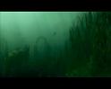 PDVD_2530
