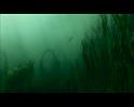 PDVD_2531