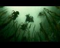 PDVD_2536