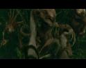 PDVD_2539
