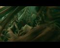 PDVD_2548