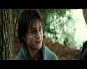 PDVD_2642