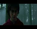 PDVD_2665