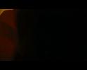 PDVD_272