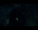 PDVD_3321