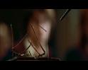 PDVD_646