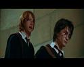 PDVD_661