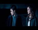 PDVD_1181