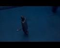PDVD_1390