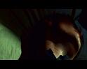 PDVD_1524