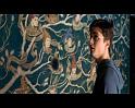 PDVD_1698