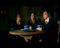 PDVD_1794