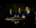 PDVD_1795