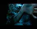 PDVD_1820