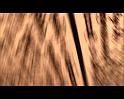 PDVD_1835