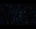 PDVD_196