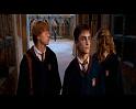 PDVD_1983