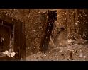 PDVD_2306
