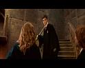 PDVD_2377