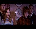 PDVD_2451