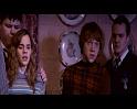 PDVD_2452