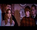 PDVD_2464