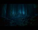 PDVD_2495