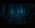 PDVD_2497