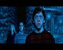 PDVD_2806