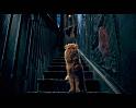 PDVD_302