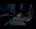 PDVD_308