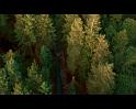 PDVD_3443