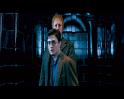 PDVD_431