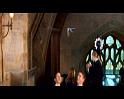 PDVD_733