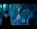 PDVD_900