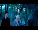 PDVD_901