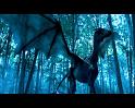 PDVD_909