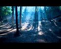 PDVD_911