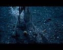 PDVD_928