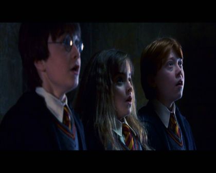 PDVD_1243.jpg