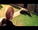 PDVD_1122
